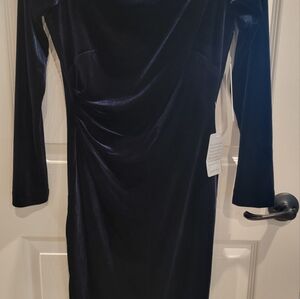 Blue long sleeve velvet dress